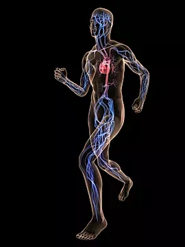 a 3d scan of a person exercising